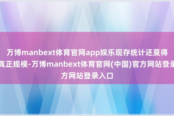 万博manbext体育官网app娱乐现存统计还莫得波及真正规模-万博manbext体育官网(中国)官方网站登录入口