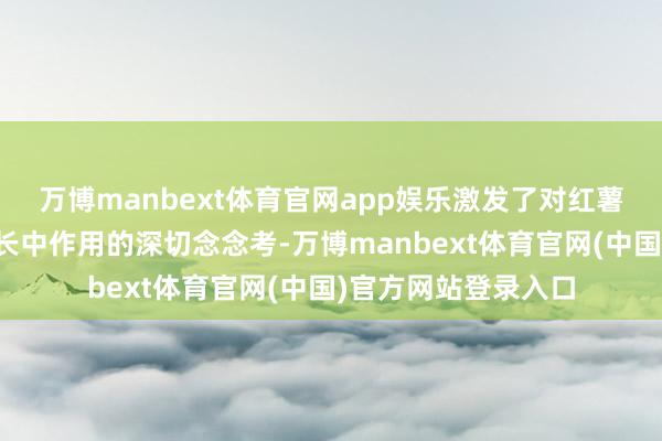 万博manbext体育官网app娱乐激发了对红薯在促进胎儿健康成长中作用的深切念念考-万博manbext体育官网(中国)官方网站登录入口