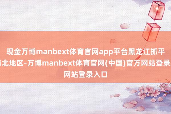 现金万博manbext体育官网app平台黑龙江抓平；西北地区-万博manbext体育官网(中国)官方网站登录入口