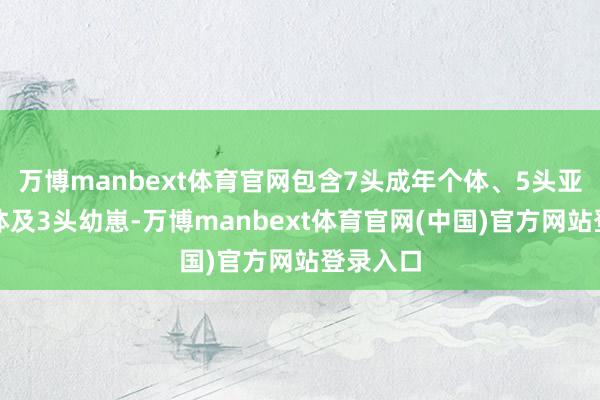 万博manbext体育官网包含7头成年个体、5头亚成年个体及3头幼崽-万博manbext体育官网(中国)官方网站登录入口
